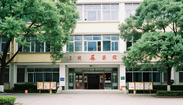 餐饮配套供应链优化，如何提升效率与成本控制